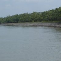 Sunderban The Venice of Nature