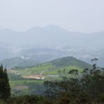 ooty, things-to-do-in-ooty