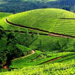 Munnar-hill-station-in-india, Best travel destinations in India