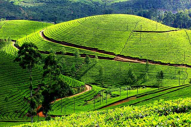 Best travel destinations in India