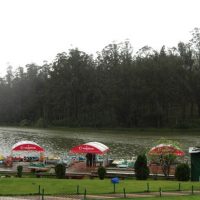 My best moments of joy in Ooty