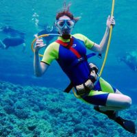 The popular dive spots in Key West