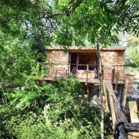 Rent treehouses for your next holiday