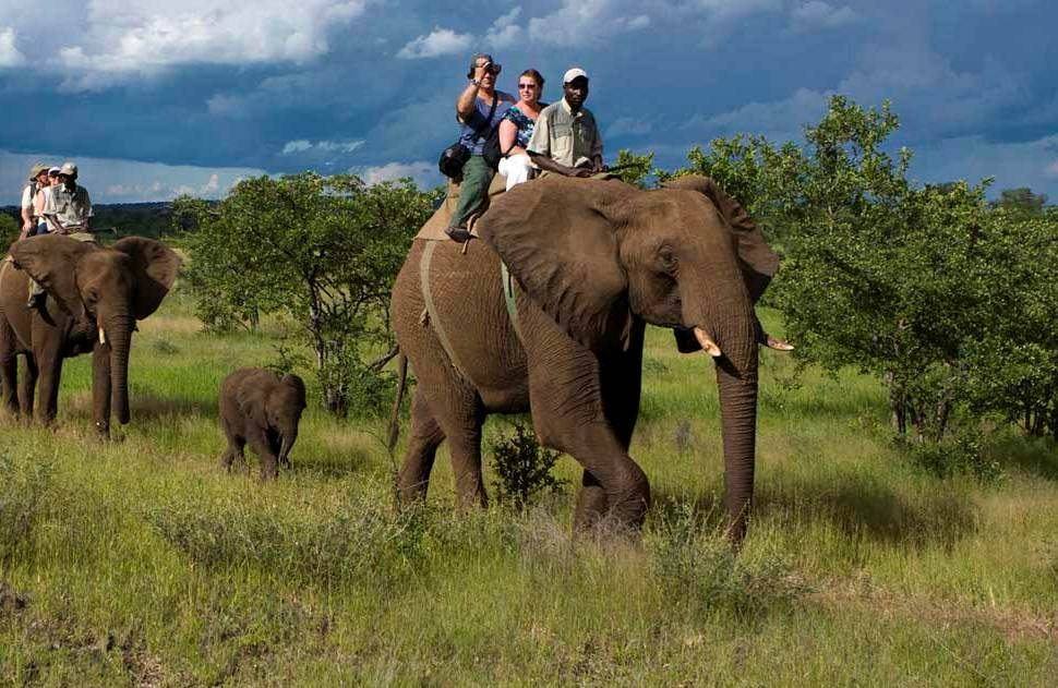 Elephant safari Jim Corbett National Park