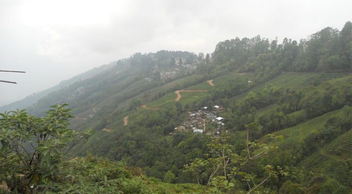 Information to reach Darjeeling from Bagdogra